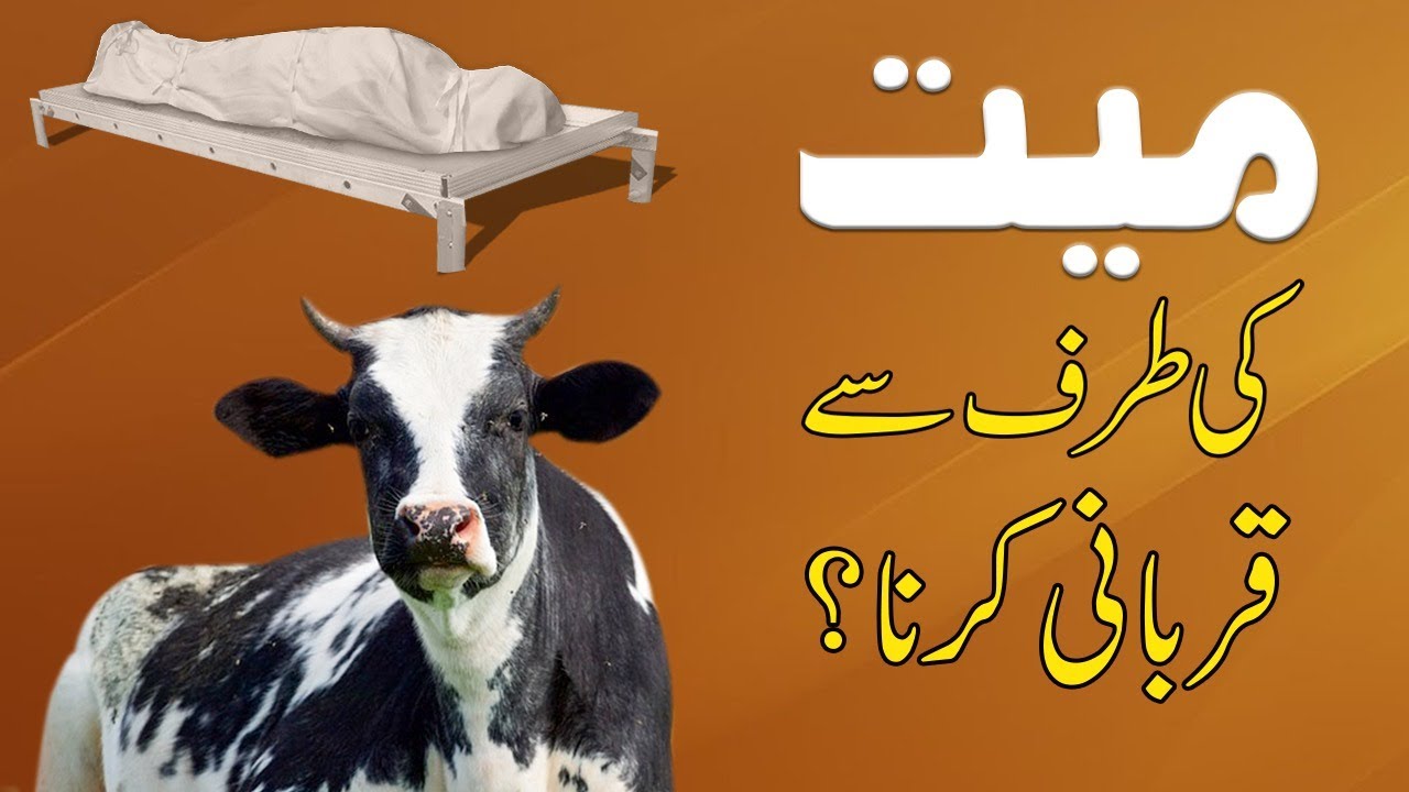 Mayyat Ki Taraf Se Qurbani Karna Kaisa?